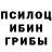 Галлюциногенные грибы Psilocybine cubensis Roman VU