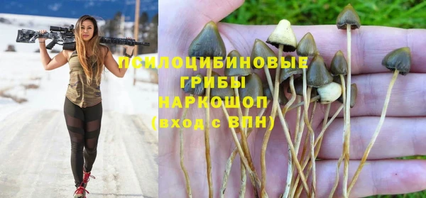 ПСИЛОЦИБИНОВЫЕ ГРИБЫ Абинск